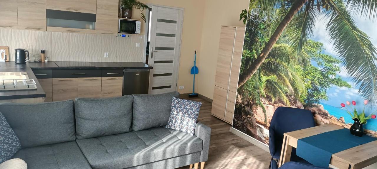Apartamenty Modrzewiowe Tarasy Chojnice Extérieur photo